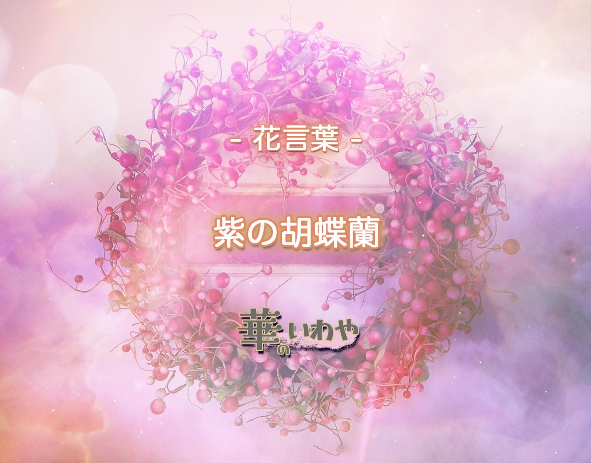 「紫の胡蝶蘭」の花言葉とは？